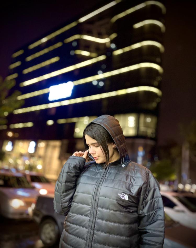 کاپشن-ضدآب-نورث-فیس