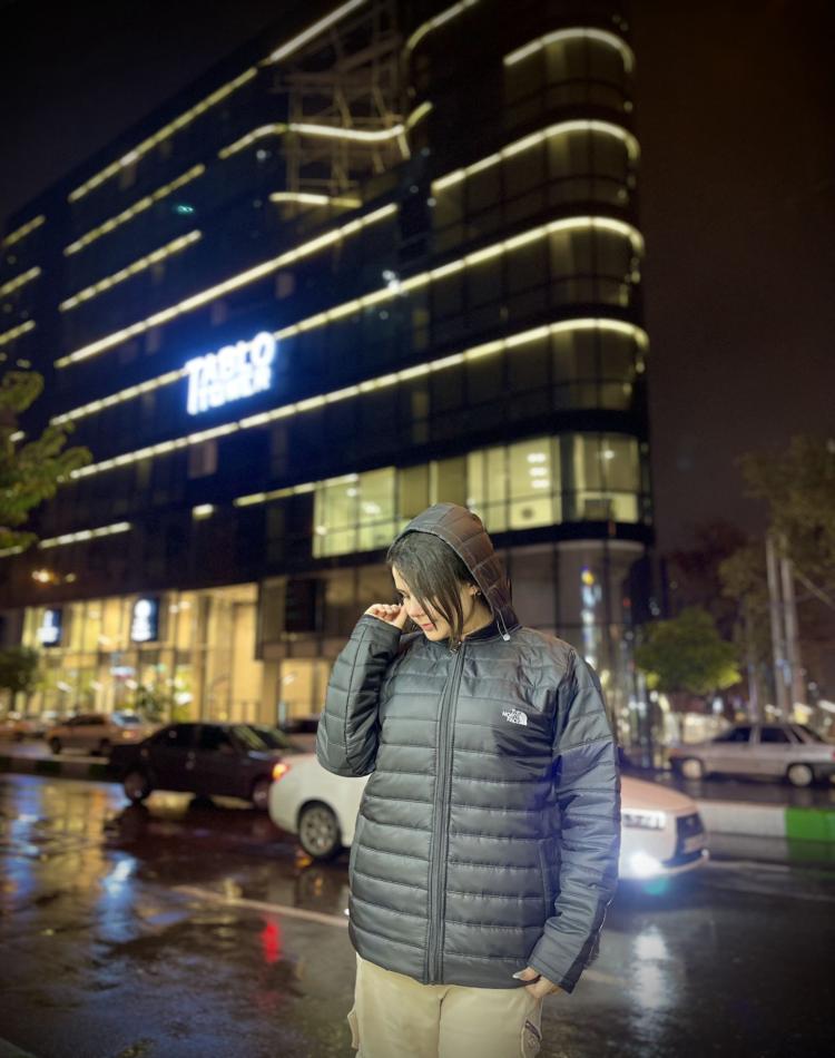 کاپشن-ضدآب-نورث-فیس